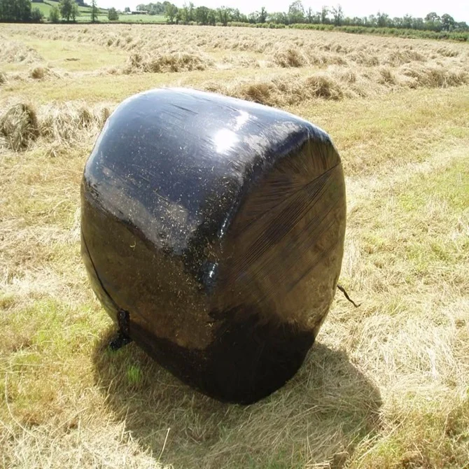 Packed silage bales available for export | Silage Experts Africa