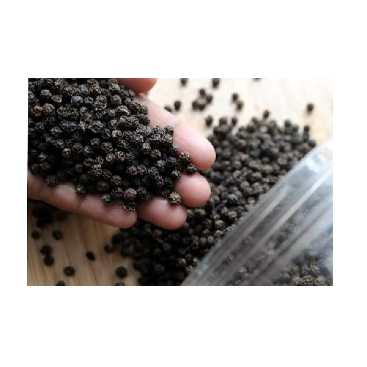 Wholesale Bulk Spice Natural Taste 20kg/carton Support Customize 570 GL Style Packing  Black Pepper Vietnam