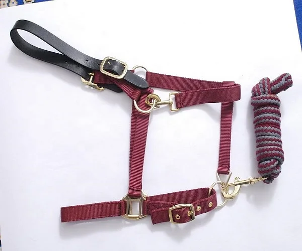 Lead Rope for Horse Various Stylish Designs Lead Ropes cob size Donkey Goat with Panic Hook Manufacturers India Kanpur Equipment