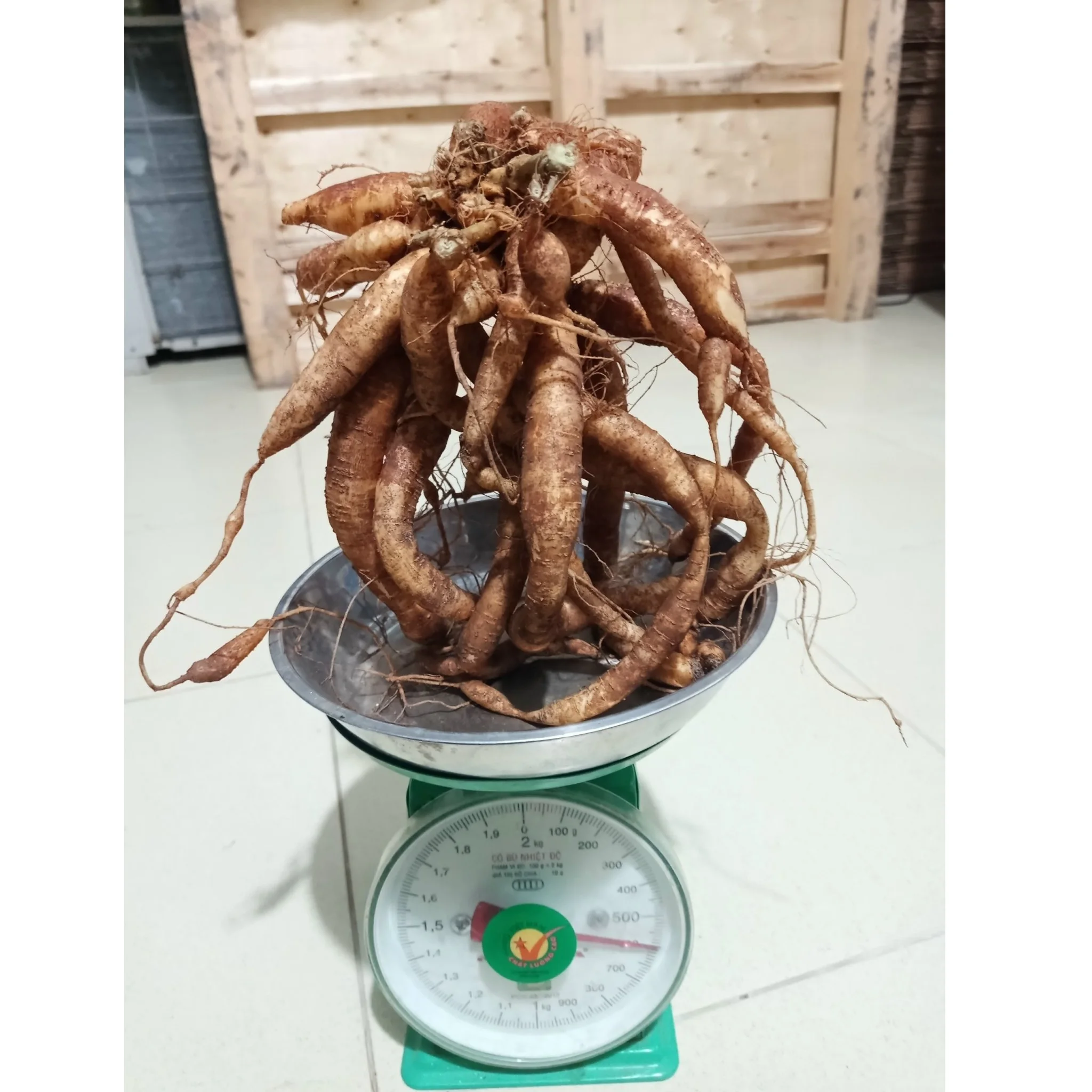 OEM/ODM Fresh Ginseng Health Food Plant Extract Mason Jar Vacuum Packed Herbal Premium Standard Ginseng Root