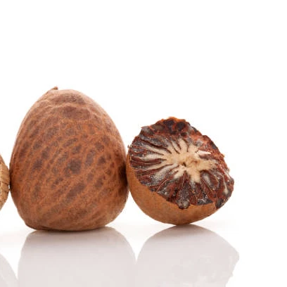 New Product Fresh Fresh Areca Nuts/ Areca Berries/ Betel Nuts - VI HUYNH +84 911 695 402