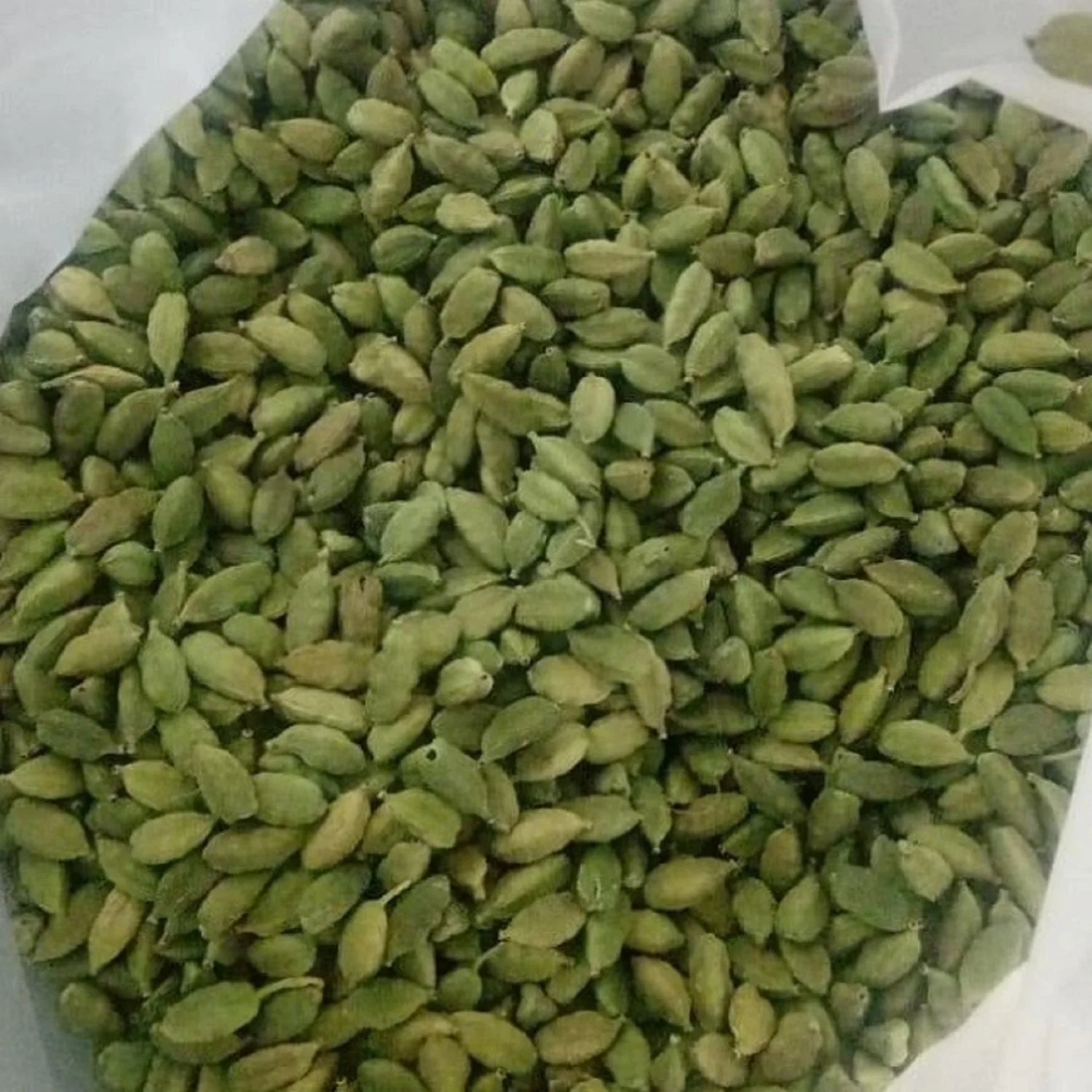 Wholesale Cardamom Green High Quality Cardamom Factory Price Dried Green Cardamon