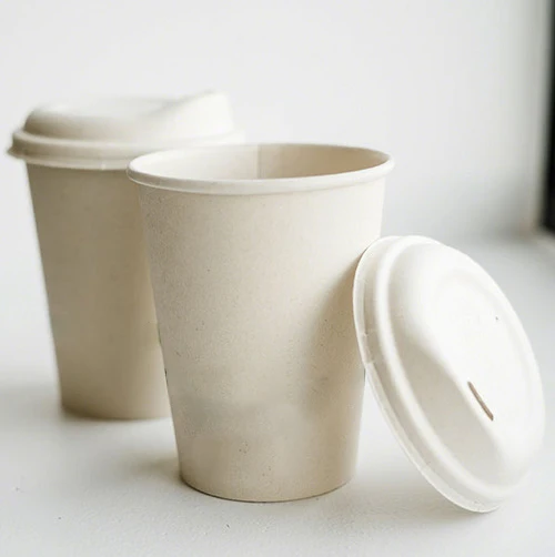 Biodegradable Coffee Cups Disposable Sugarcane Bagasse Compostable Cups for Cold or Hot Drinking