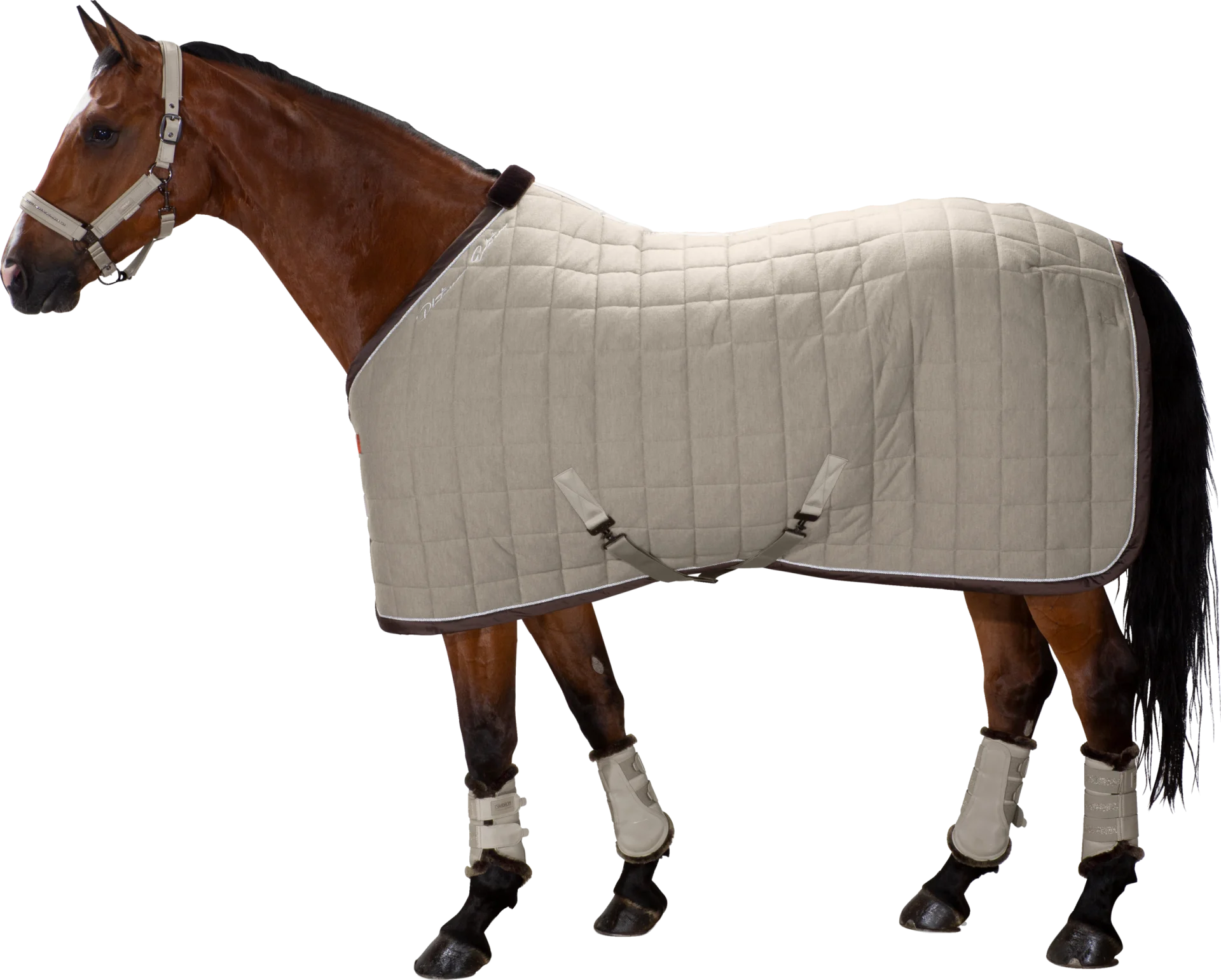 Summer Horse Combo Mesh Fly Hybrid Rug Purple Poly Cotton Strip Ribstop Standard Size Turnout Blanket Canvas Shell