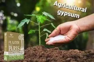Gypsum Natural Agricultural Gypsum Powder  Fertilizer
