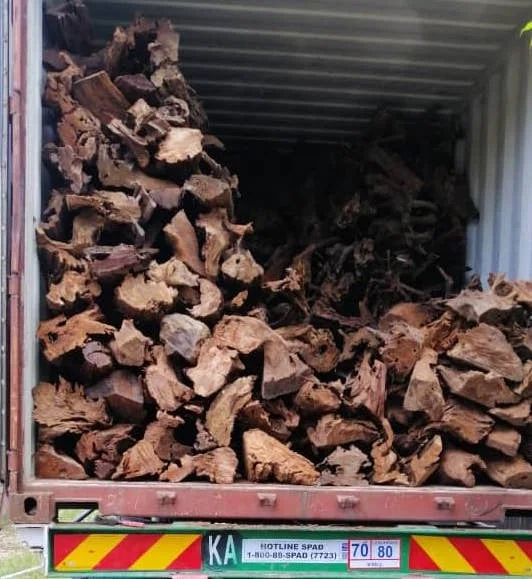 Wholesale Driftwood Grade A Quality Different Size Natural Mangrove Wood Spider Driftwood For Mangrove Aquarium Decoration