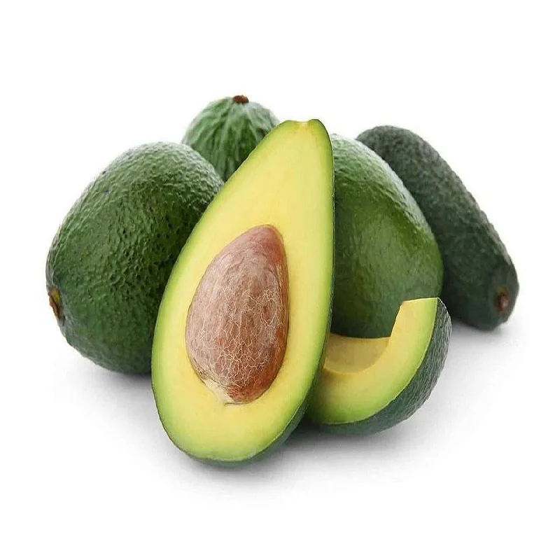 Cheap Fresh Avocado Made In Thailand and Vietnam For Export With The Best Price Standard High hass avocado