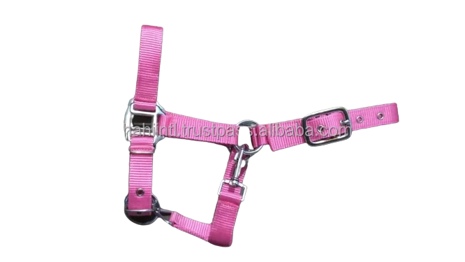 Nylon Halter Long Lasting Fine  Horse Halter Manufacturer OEM Style Color Material Customize Wholesale Price