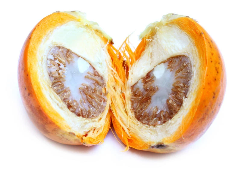 Good Price Food Grade Betel Nuts Ready To Export From Thailand.