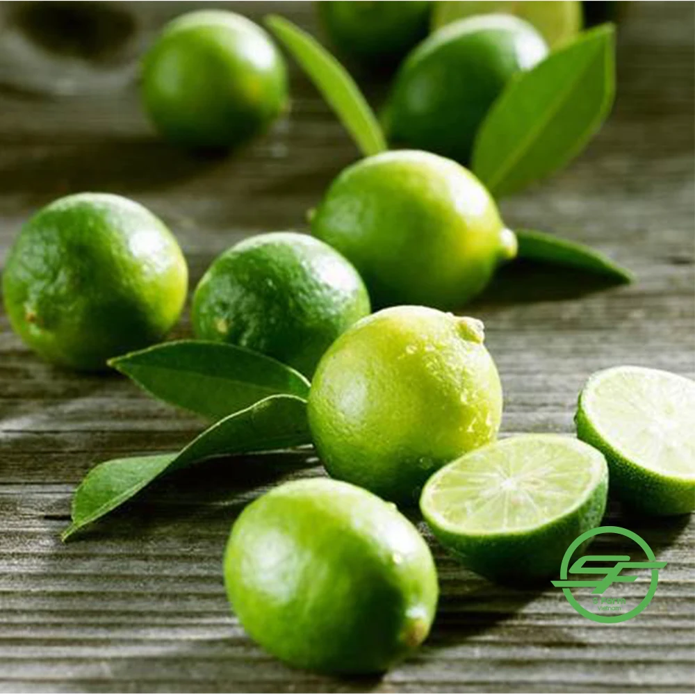 High quality citrus fruits Green Count Sweet Lemon Vietnam Lemons Natural Fresh Lemon For Export In Bulk