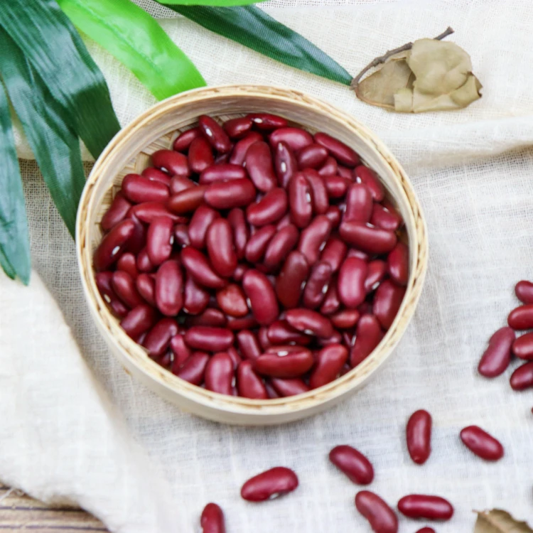 Dried and Raw Dark Red Kidney Sugar Bean for sale Thai Suppliers