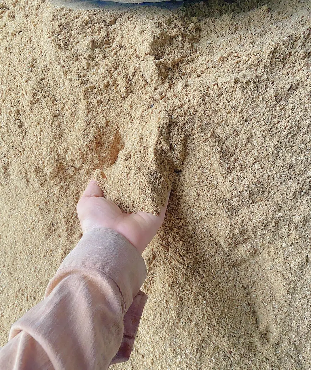 Premium 50% Pure Protein Meat Bone Meal Best Price! Select from Vietnam for Fish Animal Dog Pig Sheep Feed Animal Feed