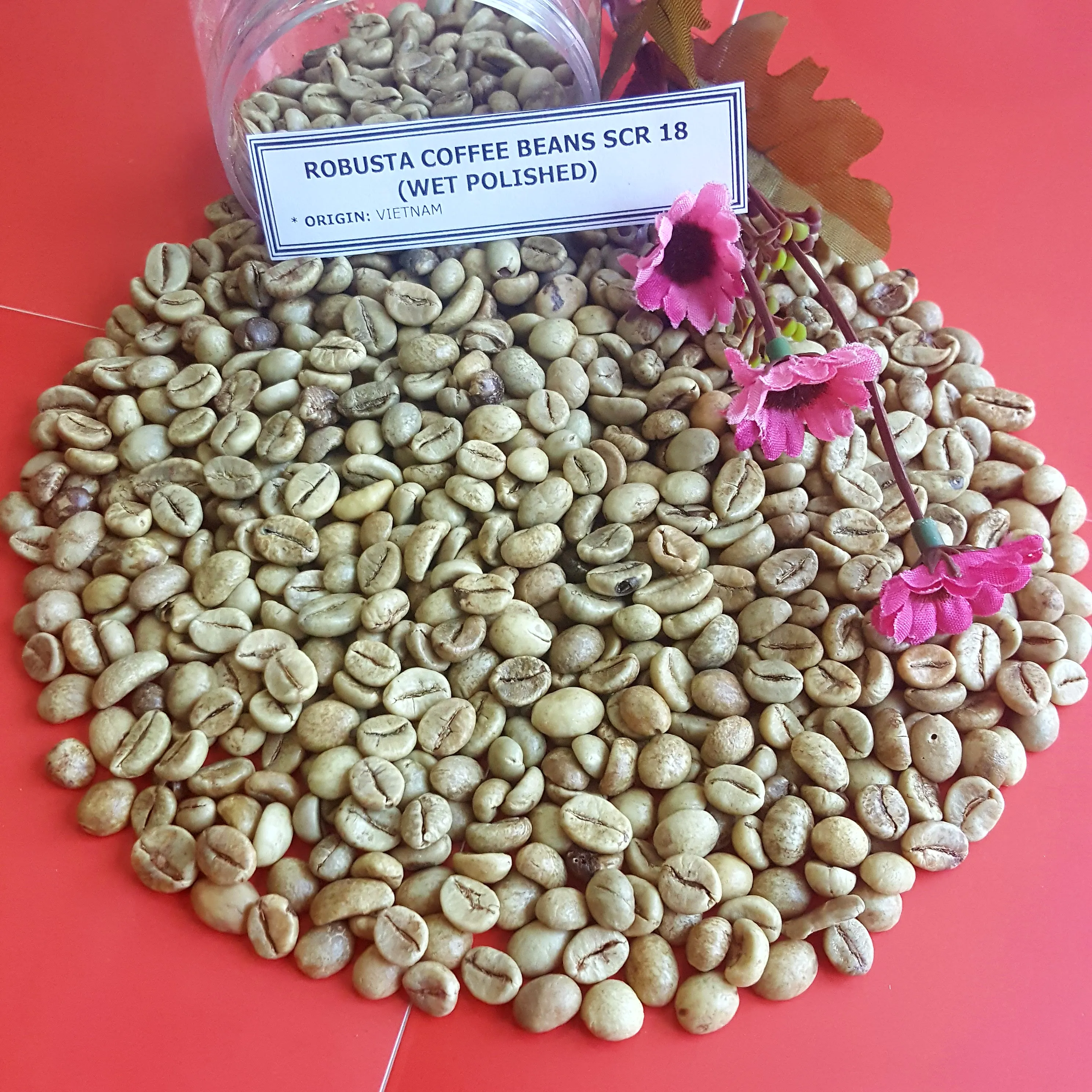PREMIUM GREEN ROBUSTA COFFEE BEANS PERFECT FOR ROASTING, RICH FLAVOR SCR16 SCR18 UNWASH CLEANED WET POLISHED HIGH QUALITY EXPORT