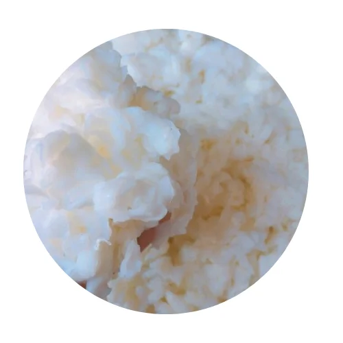 RAW NATA DE COCO COCONUT JELLY IN SYRUP FOR JELLY AND PUDDING RANDOM FREE REGULAR SHAPE SIZE /Ms.Thi