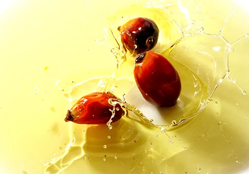 Palm oil In Vietnam High Quality oil product And Best Price Organic oil With olein Extracted