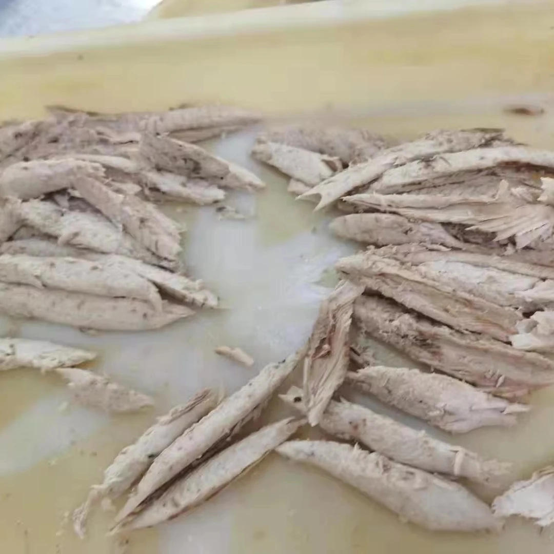 Fillet Part Single Clean Frozen Cooked Tuna Skipjack tuna Loin with flakes 10 Percent precooked tuna loin