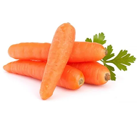 Новый Урожай из Вьетнама-свежая морковь высокого качества по низкой цене-экспорт по всему миру 2023