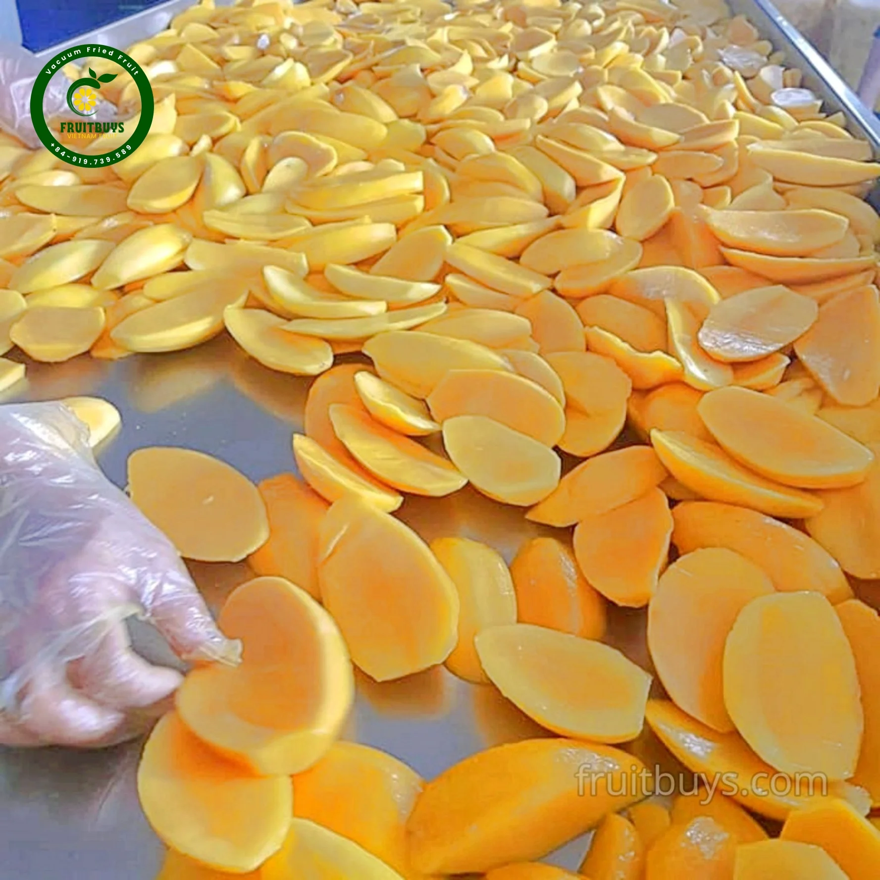 Exotic Mango Chips Fruit & Vegetable Snacks Wholesale Sweet Vietnamese Tropical Snack to Stimulate Your Taste Buds
