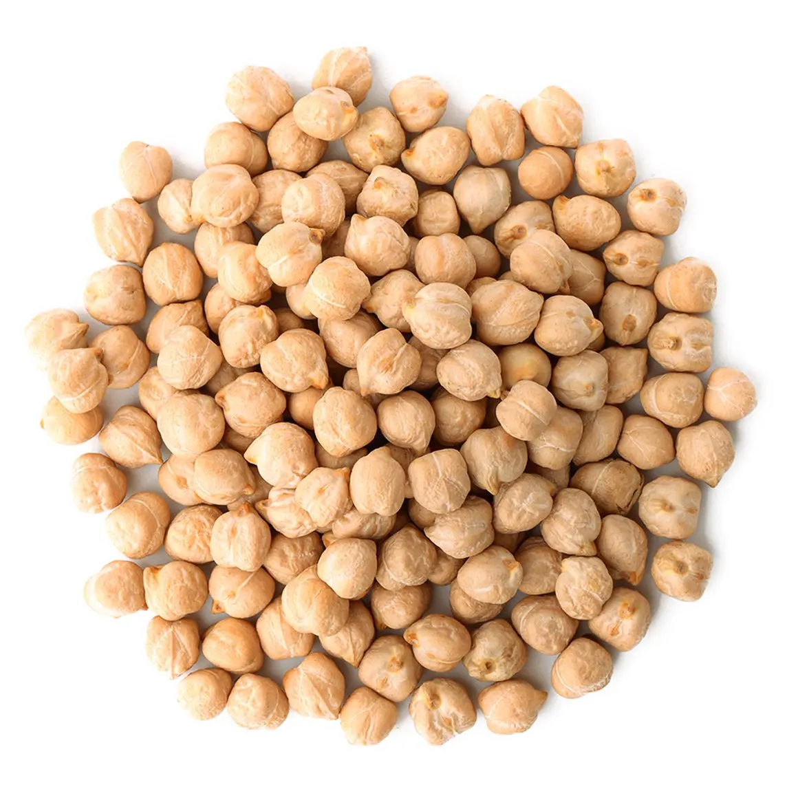 Wholesale MC Quality Dried Chickpea Kabuli Chick Pea
