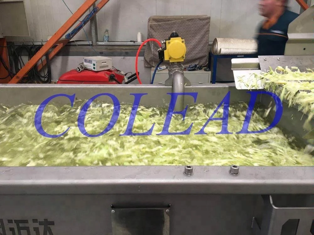 Vegetable Leaf Rotary Washing Machine for salad processing line