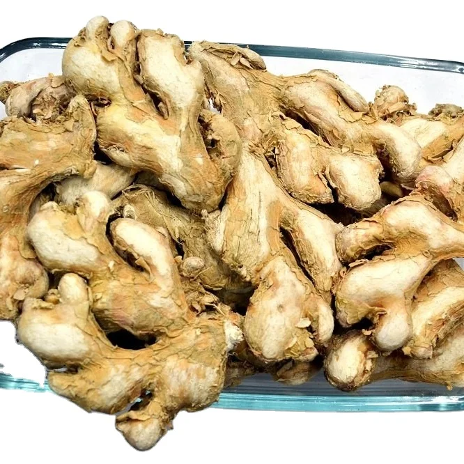 Organic Dry Ginger Whole Root Vegetable in Bulk Dehydrated with Spicy Flavor Pure Garlic Powder Flavored Raw Dry Ginger Supplier
