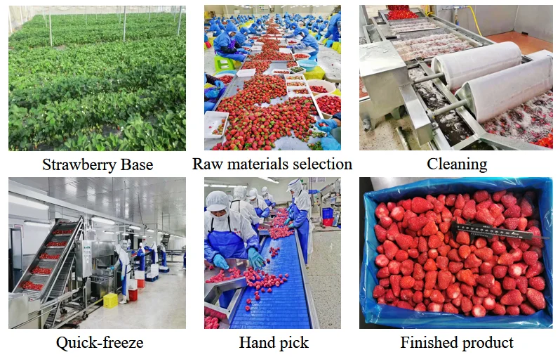 Frozen products China supplier Importers of freezing IQF frozen strawberry for sale shortcake