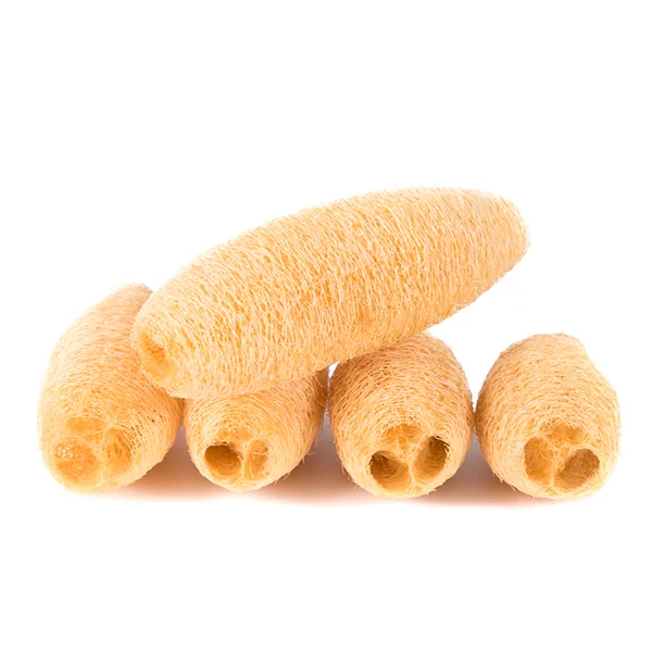 Wholesale Loofah Sponges for body 15- 20cm- 100% Natural Organic- Dried Luffa Scrub Sponge/Compressed Loofah- Made in VietNam