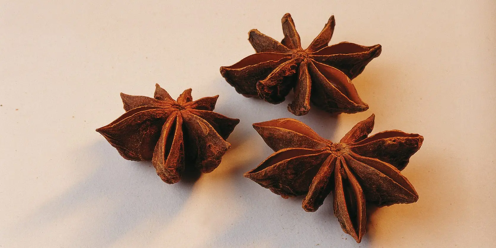 Cheap price hot sale of superior star anise for whole OEM and export from Vietnam supplier