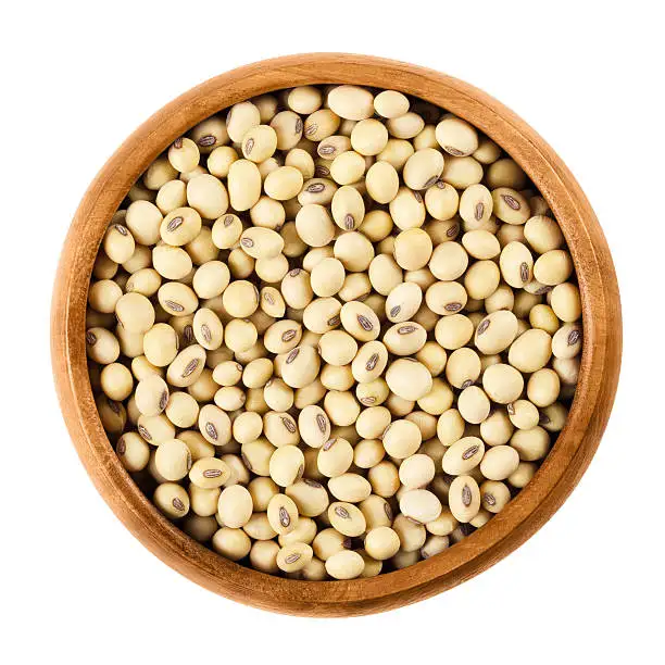 High Quality Non GMO Yellow Soybeans - Soybeans /Soya Bean (8.0mm) with High Quality Non Gmo Cheap Price