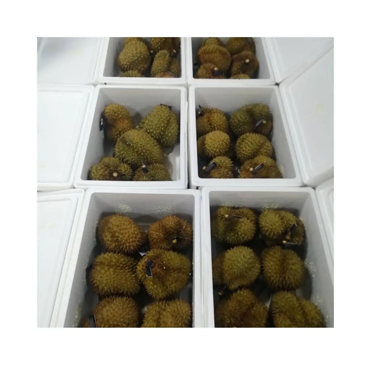Superior Quality Fresh Cut Durian: Imported from Thailand