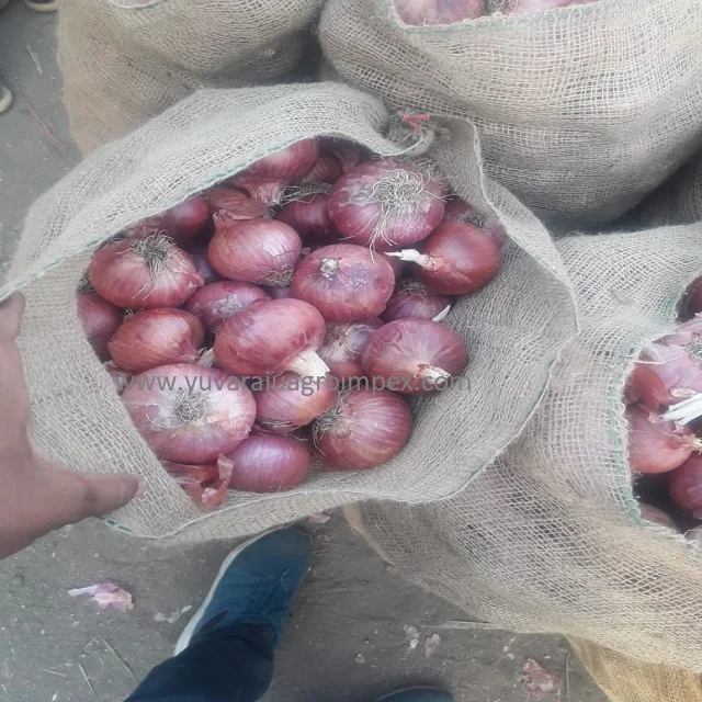 New seasonal arrival natural pink color big onion Exporters in India to Bahrain Sri Lanka Malaysia Mauritius