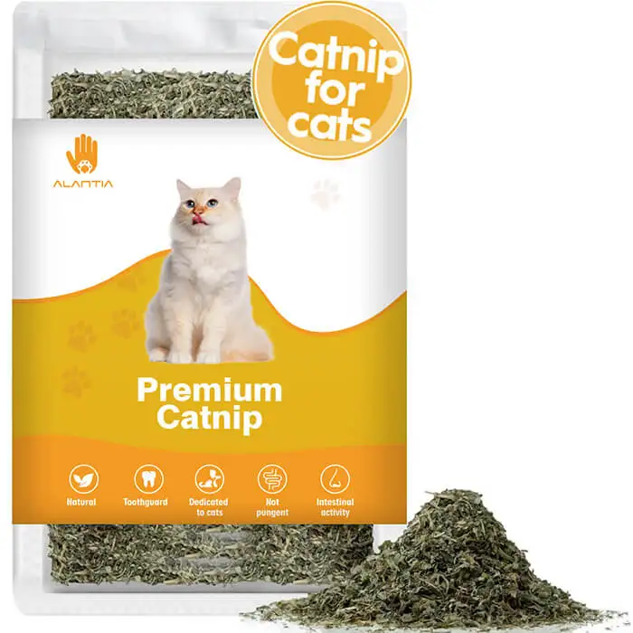 Customized ease anxiety pleasant mood pure natural catnip pet chew cat dust leaf toys