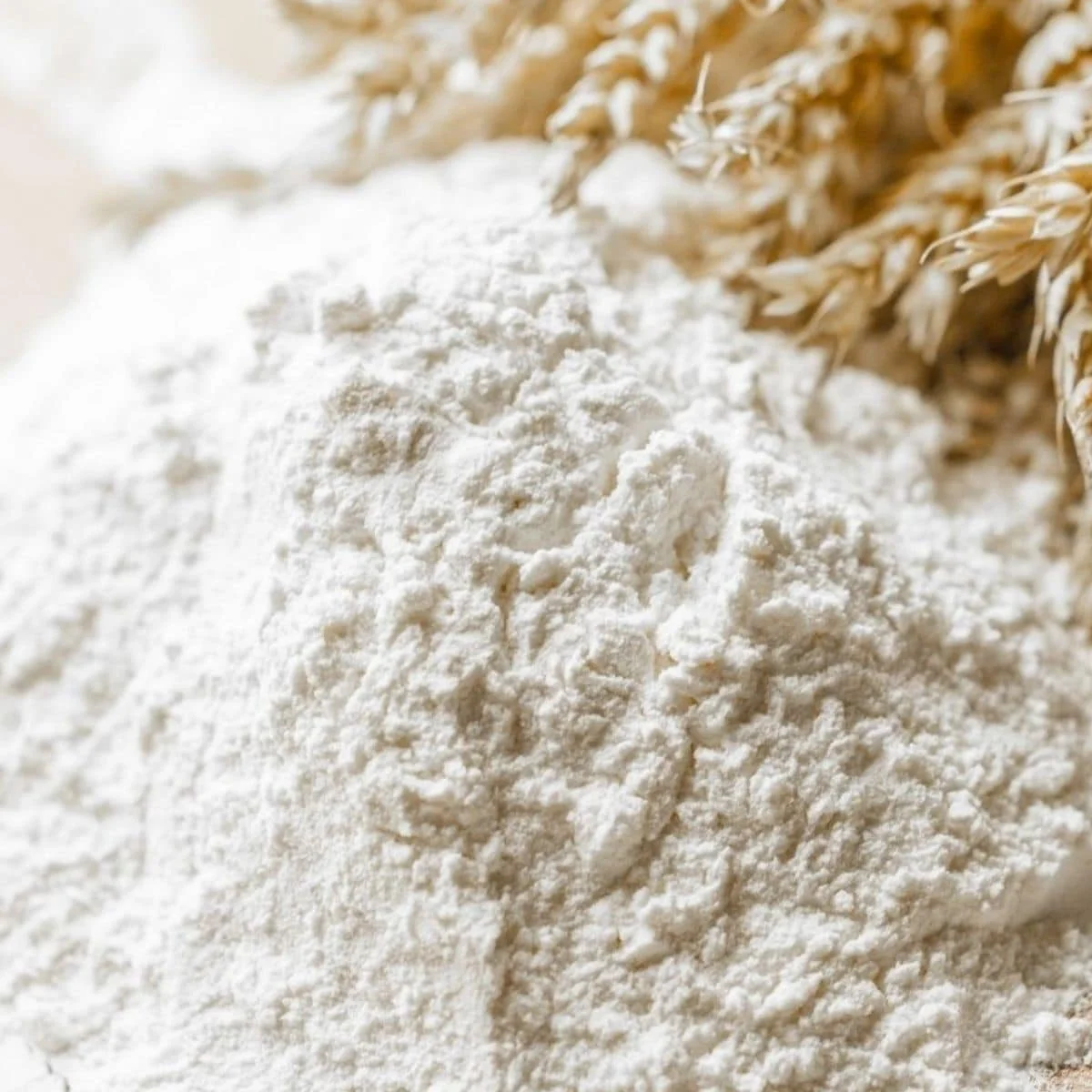 Pure Wheat Flour for Homemade Recipes Fresh Wheat Flour for Superior Quality and Perfect Outcomes