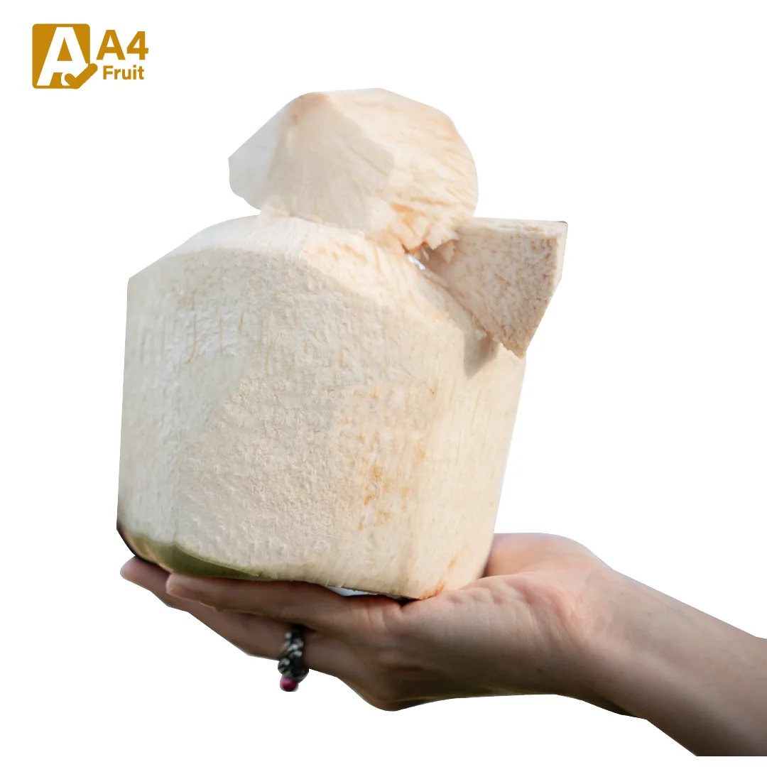 Fresh Young Coconut Water from Thailand - Sweet, Hydrating, and Packed with Natural Electrolytes for Health Benefits