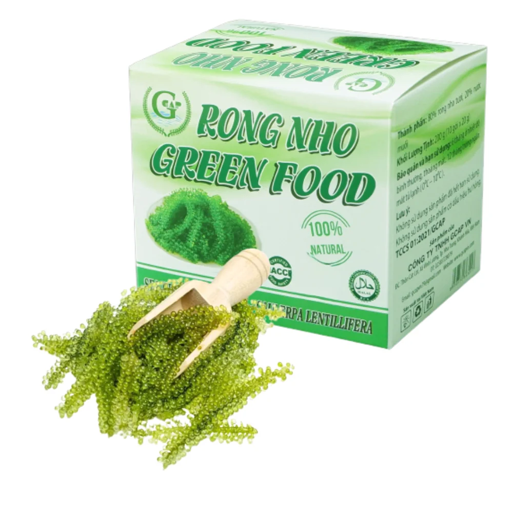 Premium Grade Organic Umibudo Green Caviar 200 Grams Dehydrated Sea Grapes GCAP VN Vietnam Seaweed Manufacturer Salt Nori