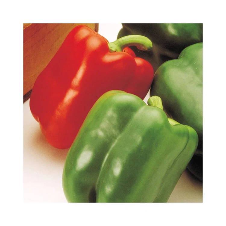FRESH CAPSICUM /FRESH BELL PEPPER/FRESH SWEET CHILI