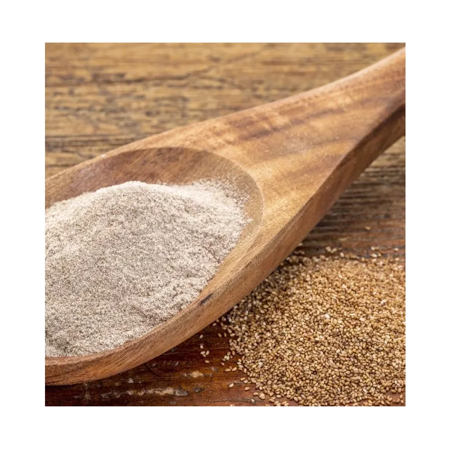 Gluten free Brown Teff grains / Bulk TEFF GRAIN
