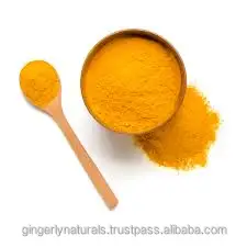 Bulk Supplier of Turmeric Extract Powder Manufacturers From India
