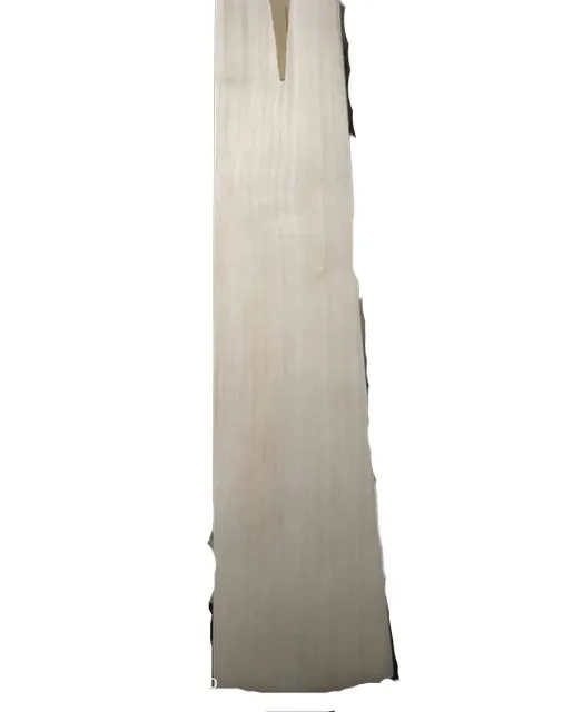 Customized English Willow High Quality Top Grade Cricket Bat