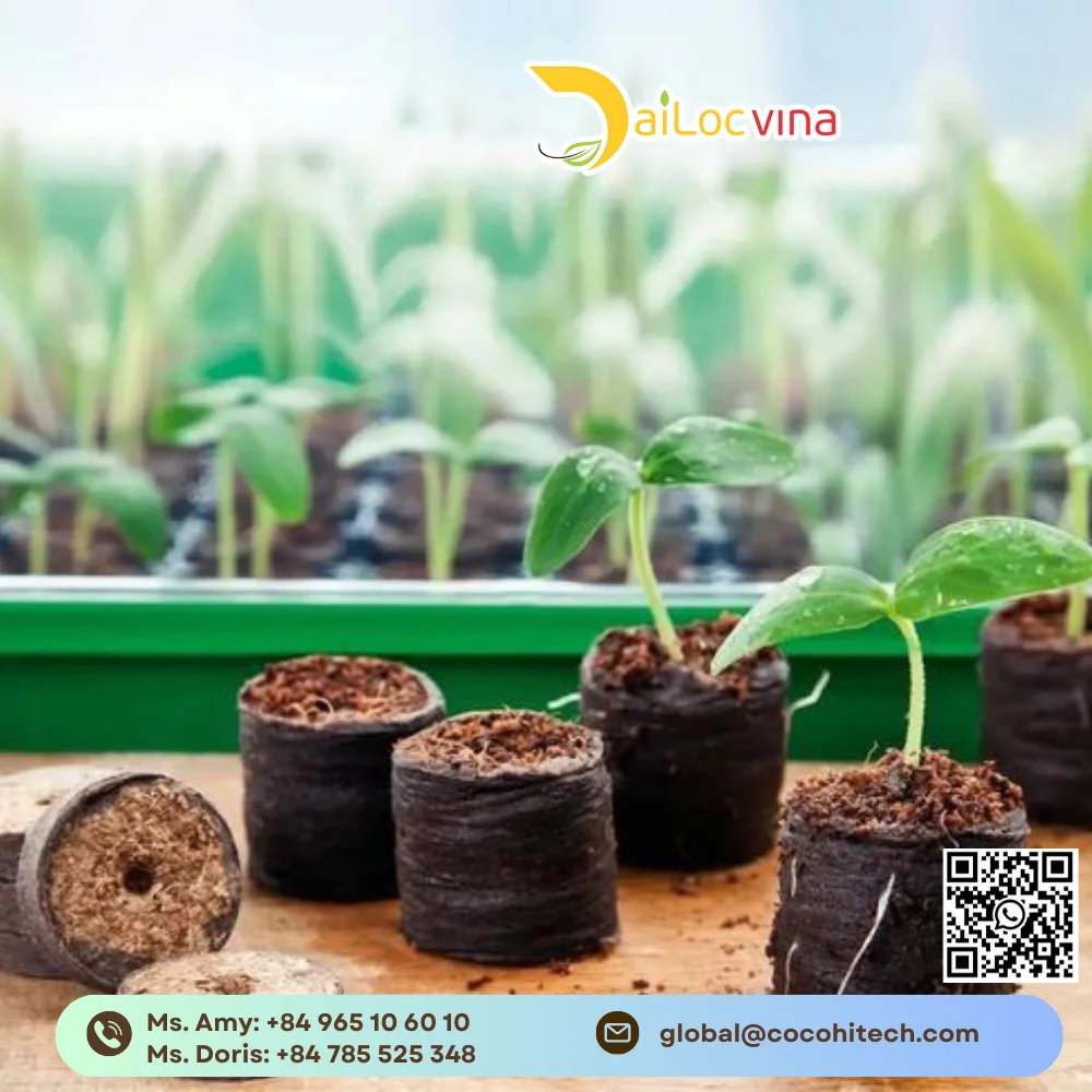 Кокосовый торф цена-кокосовый торфяный блок-закваска