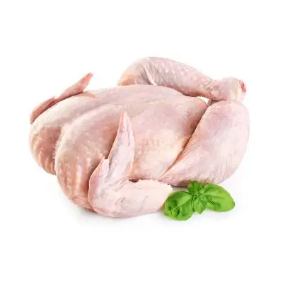 Frozen Chicken Feet Style Packaging Best Trading Products Halal Fresh Bone Bag OEM