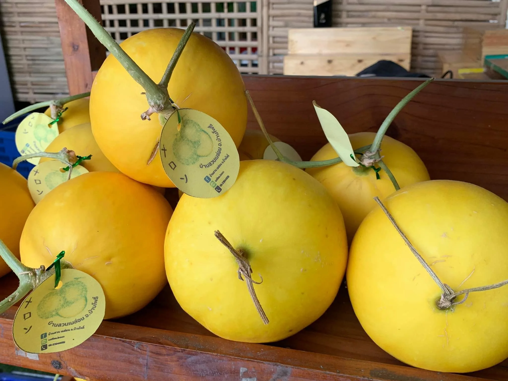 Premium Golden Melon Wine 275 ML Sweet and Sour Fruit Drink Beverage from Organic Farm  Quality Thailand Wine Product Wholesales