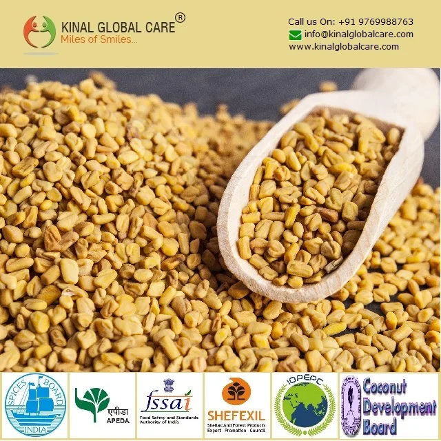 Quality Assured Organic & Natural Fenugreek Indian Grade Food Condiments Fenugreek Exporter From India