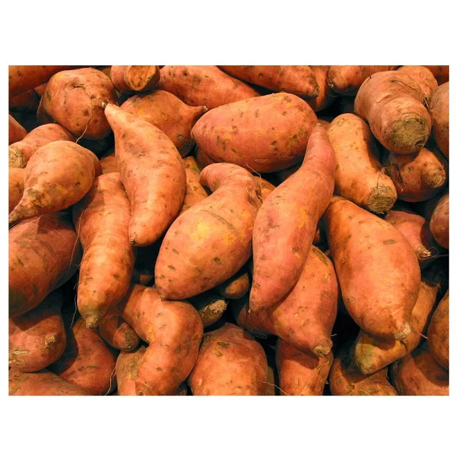 Top Quality Fresh Vegetables Sweet Potatoes For Sale At Best Price