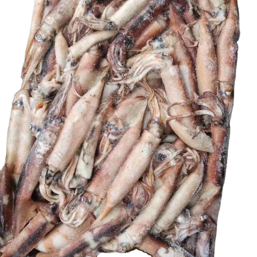 Низкая цена замороженный игольчатый кальмар очищенный из