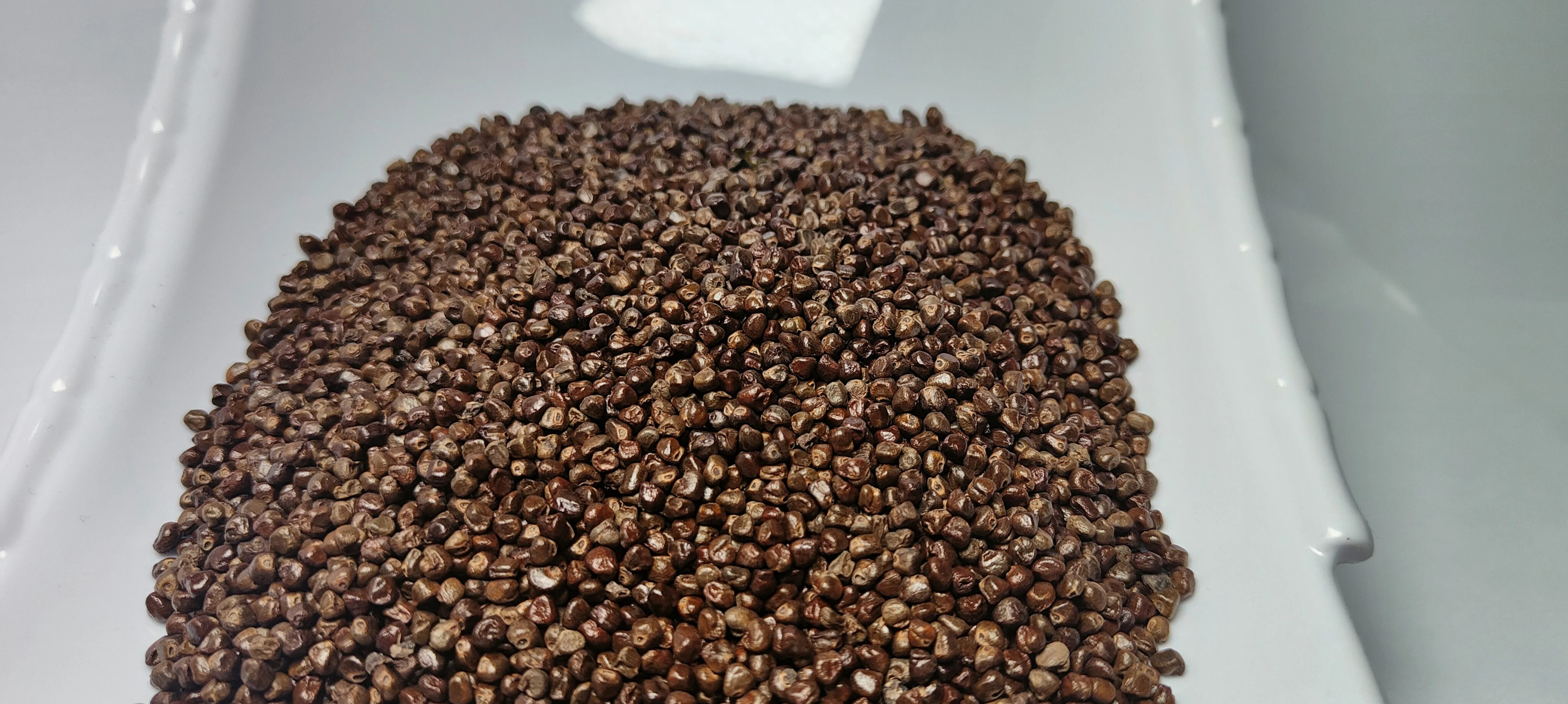 Cardamom Seed DP-10.jpg