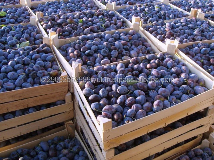 Purplish black plum a large amount of sugars will provide energy for the whole day juicy ripe fruit