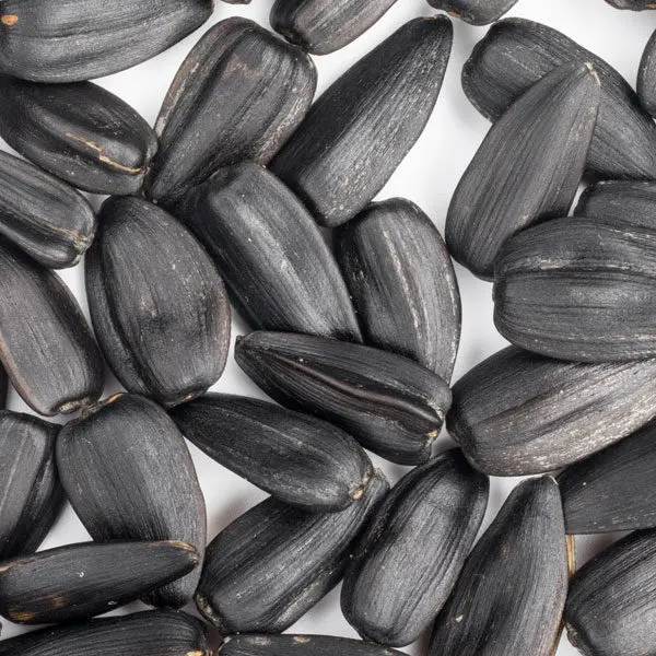 Sunflower Seeds 7.jpg