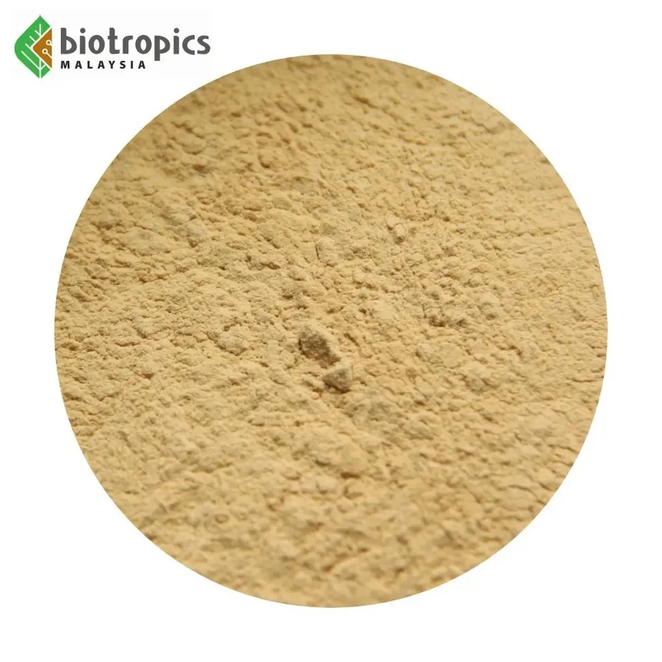 Water Extraction Tongkat Ali Root Powder Eurycoma Longifolia 100% Raw Ingredient for Food from Malaysia