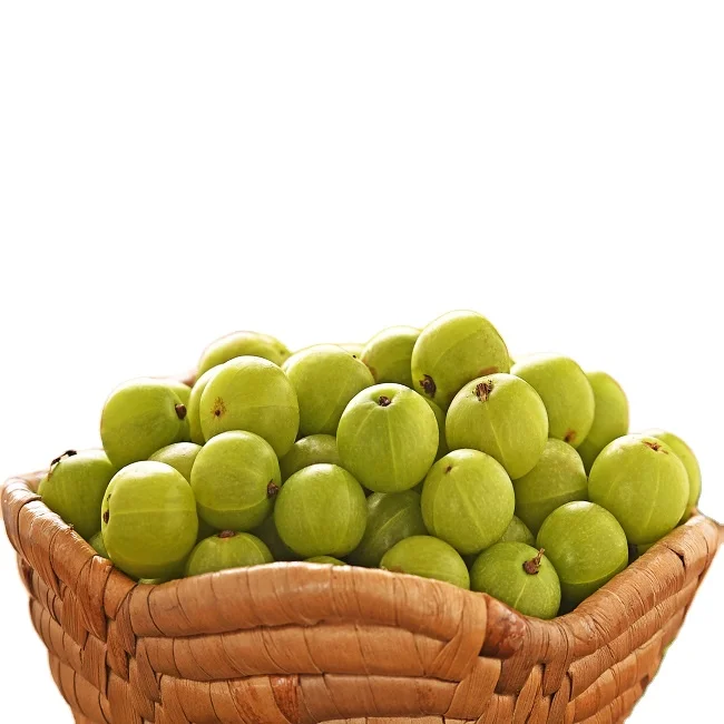 Hot Sale Amla berry Juice / Farm Direct sale / GMP Certified Manufacturer Indian Origin Amla Fruit Juice